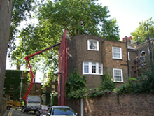 Treeline Ltd, Tree Surgery, Ireland