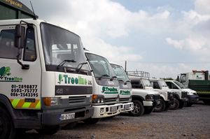 "Treeline, tree felling, tree fellers, tree surgery, tree surgeon, site clearance, stump removal, green waste recycling, Dublin, Kildare, Kilkenny, Carlow, South East Ireland"